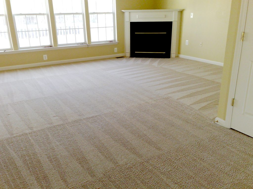 Carpet Cleaning Services Bay Area